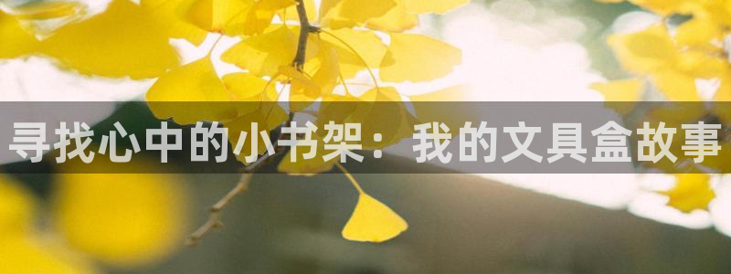 天顺娱乐段18 888：寻找心中的小书架