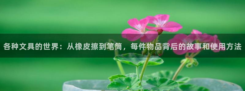 天顺娱乐来到 62562k：各种文具的世