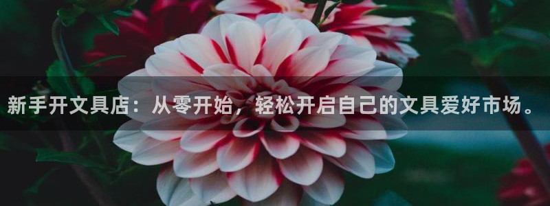 天顺娱乐会所电话多少号：新手开文具店：从