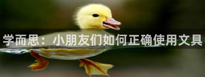 天顺娱乐负责人癶引领p29999：学而思