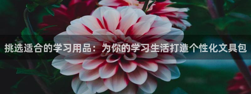 天顺娱乐675138k骄傲：挑选适合的学