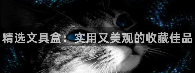 天顺娱乐偈943994：精选文具盒：实用