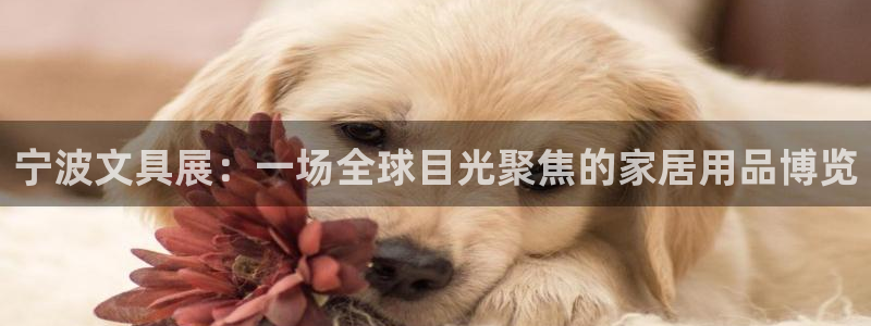 天顺娱乐车18 888：宁波文具展：一场