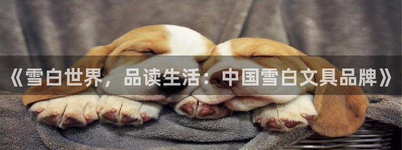 天顺娱乐注册网址是多少：《雪白世界，品读