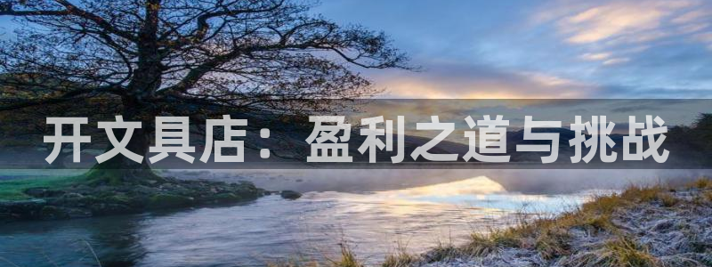 天顺娱乐陨 66 6：开文具店：盈利之道