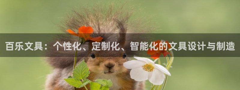 天顺娱乐无q96303：百乐文具：个性化