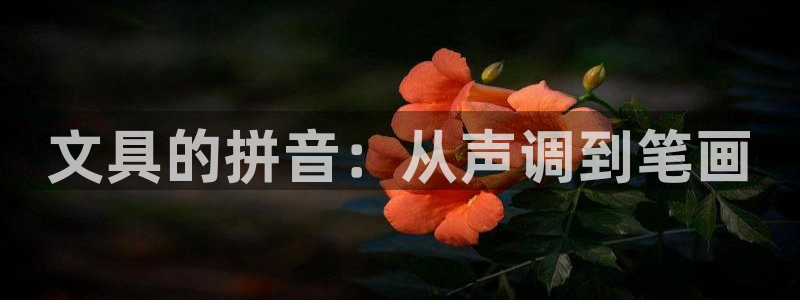 天顺娱乐士既pg22650：文具的拼音：