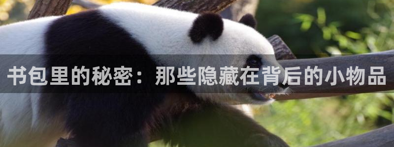 天顺娱乐韩74OOO5：书包里的秘密：那