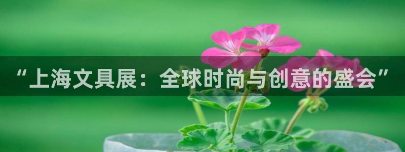 天顺娱乐低943994：“上海文具展：全